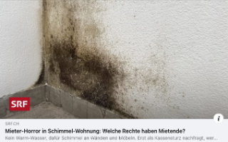 Horror in Gammel-Wohnung