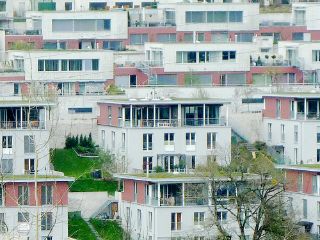 Hüsli-Plantagen bringen wenig